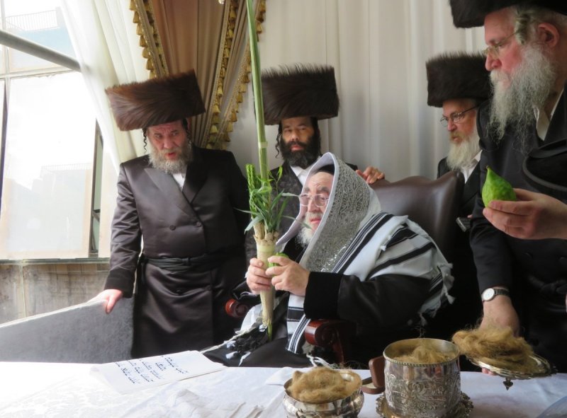 שוקי לרר