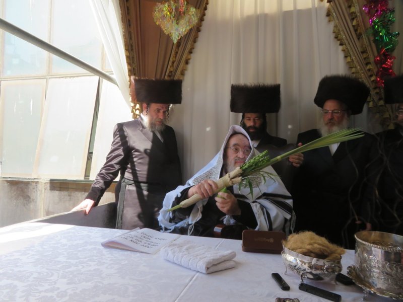 שוקי לרר