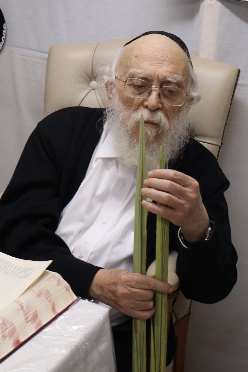 באדיבות המצלם