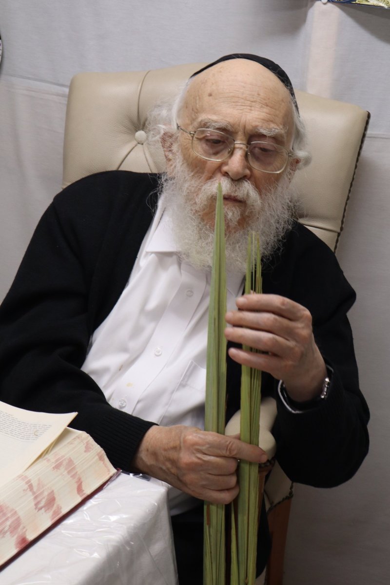 באדיבות המצלם
