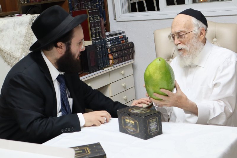 באדיבות המצלם