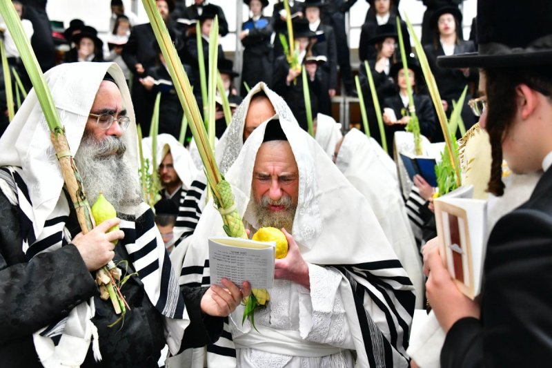 שוקי לרר