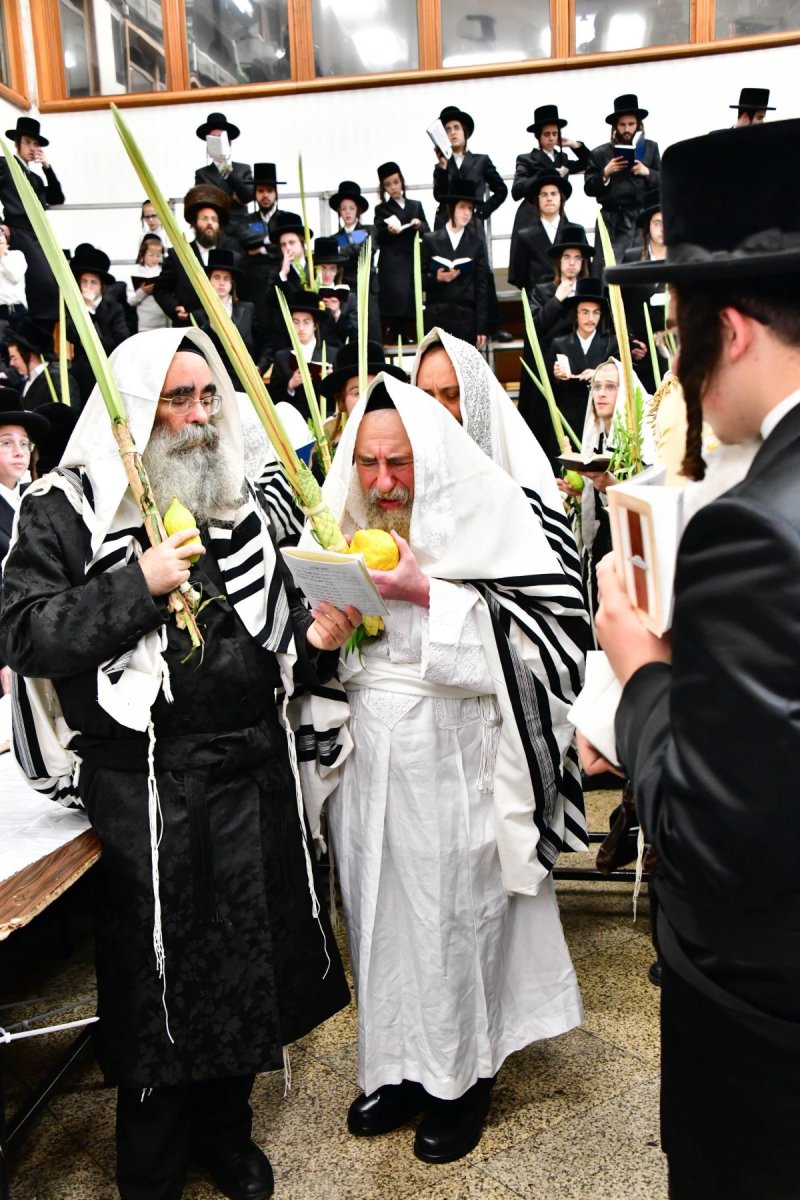 שוקי לרר