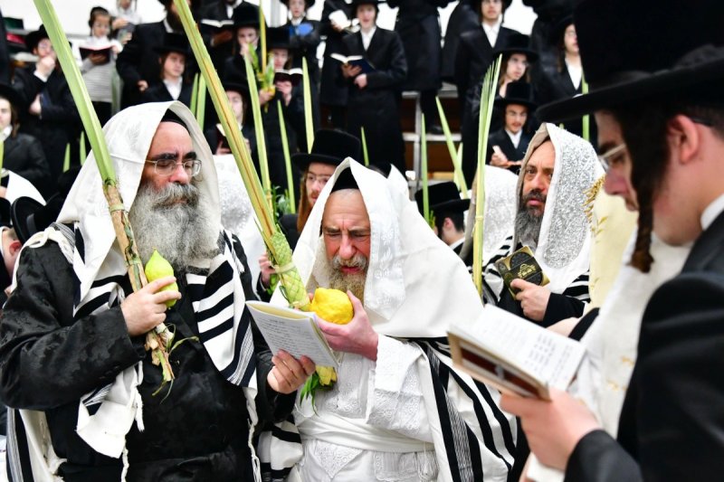 שוקי לרר