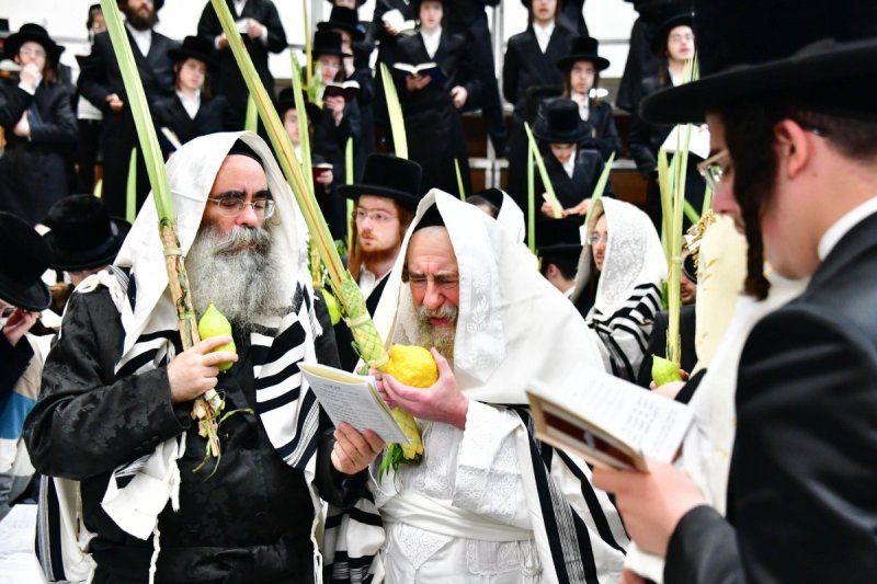 שוקי לרר