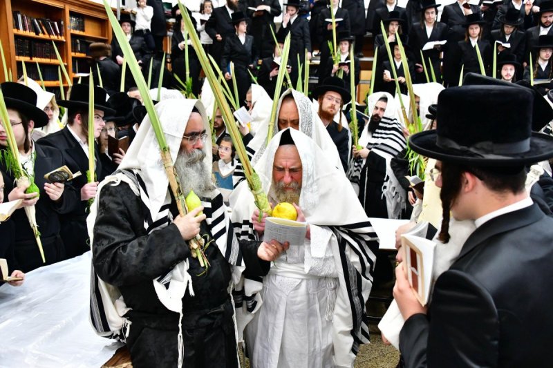 שוקי לרר