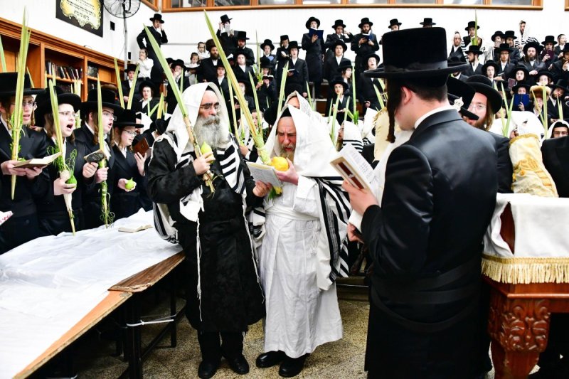 שוקי לרר