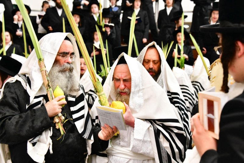 שוקי לרר