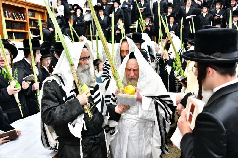 שוקי לרר