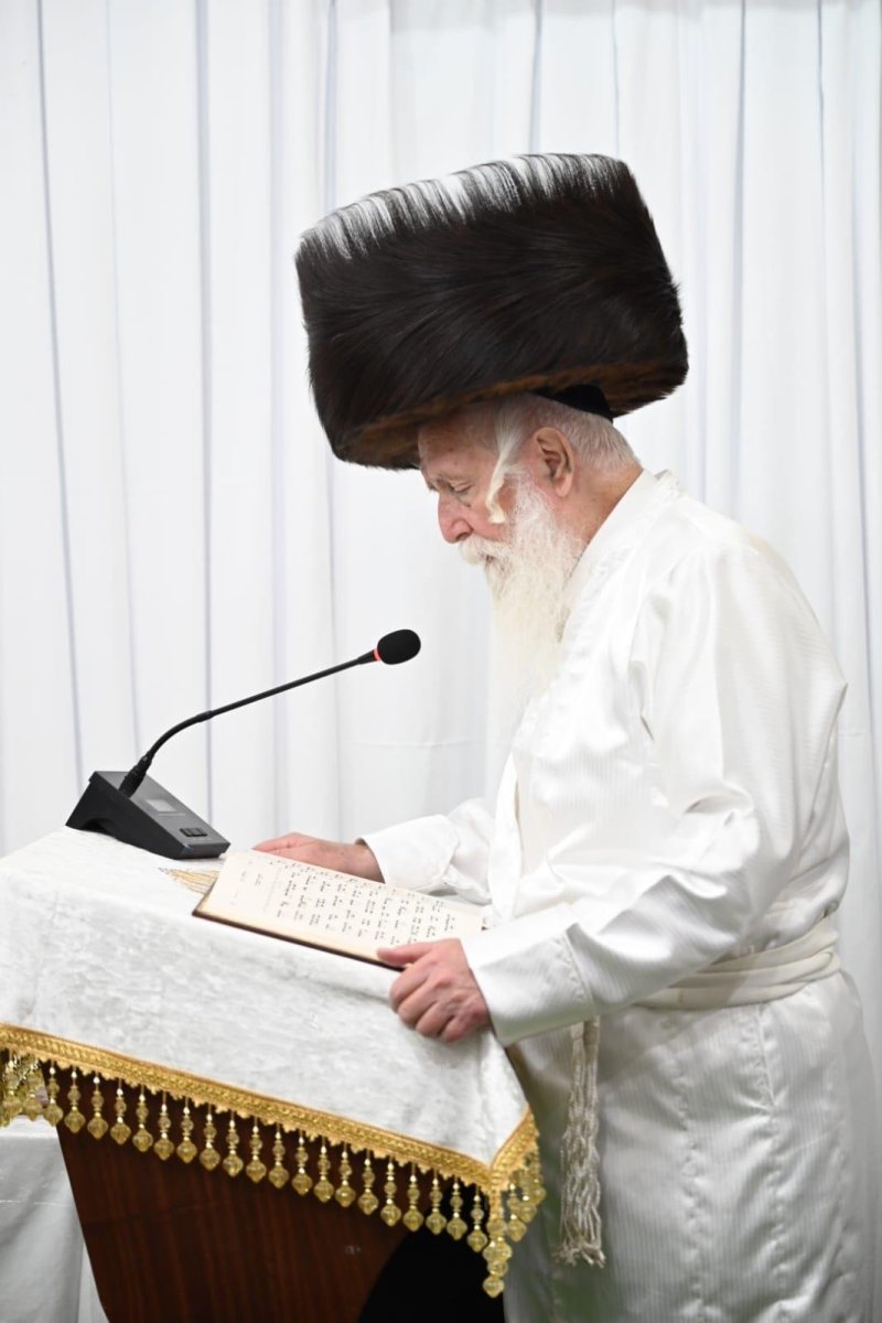 י.ש.חיימסון