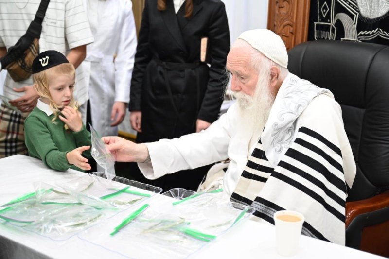 י.ש.חיימסון