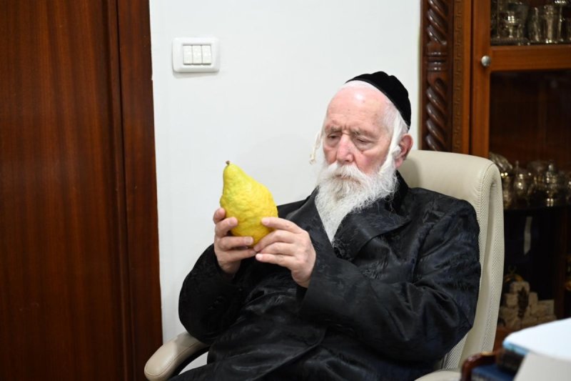 י.ש.חיימסון