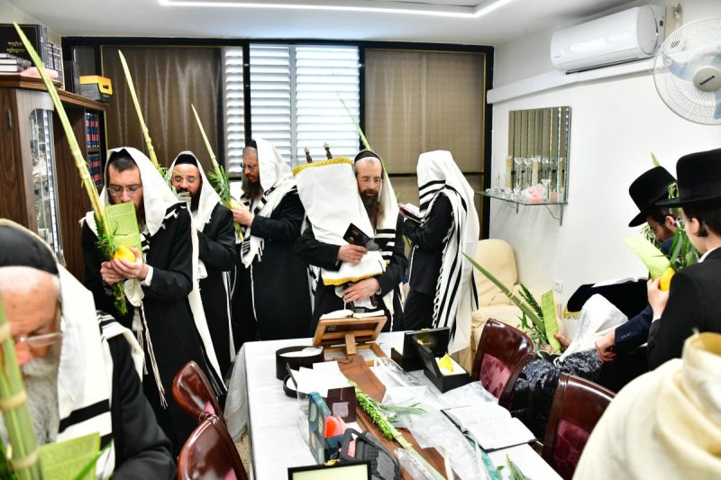 שוקי לרר