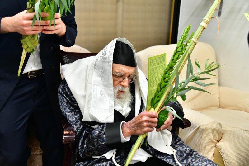 שוקי לרר