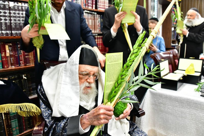 שוקי לרר