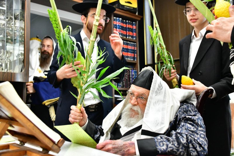 שוקי לרר