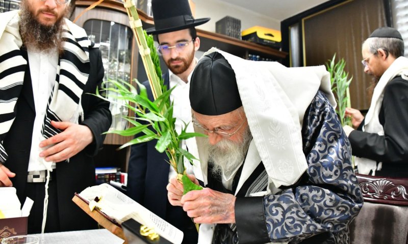 בהיכלו של רבי מאיר: עבודת הנענועים בחול המועד