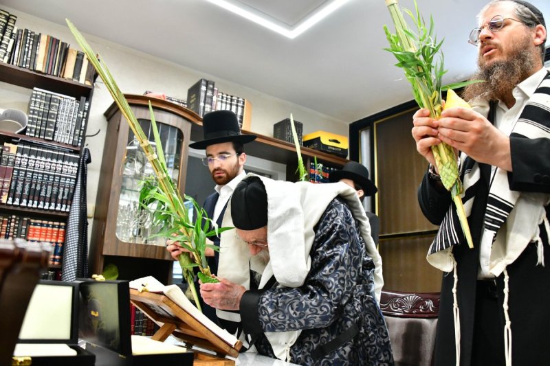 שוקי לרר