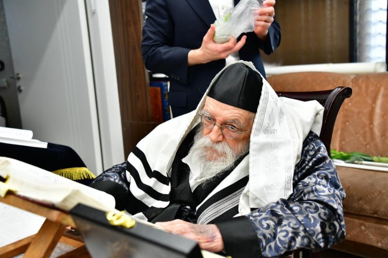 שוקי לרר
