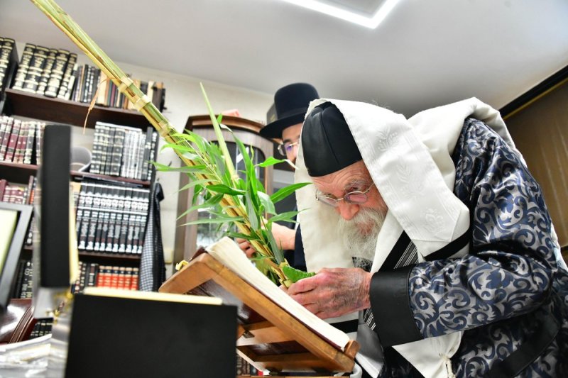 שוקי לרר