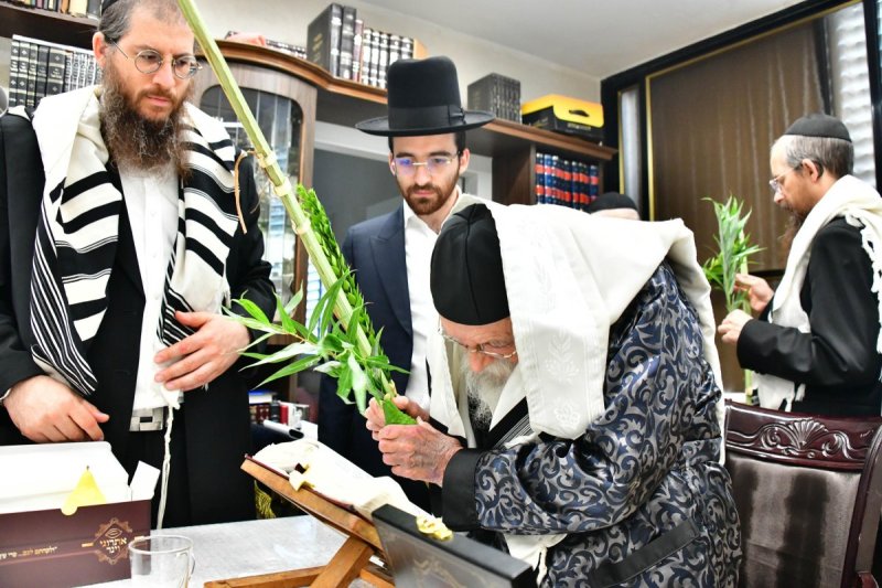 שוקי לרר