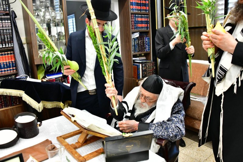 שוקי לרר