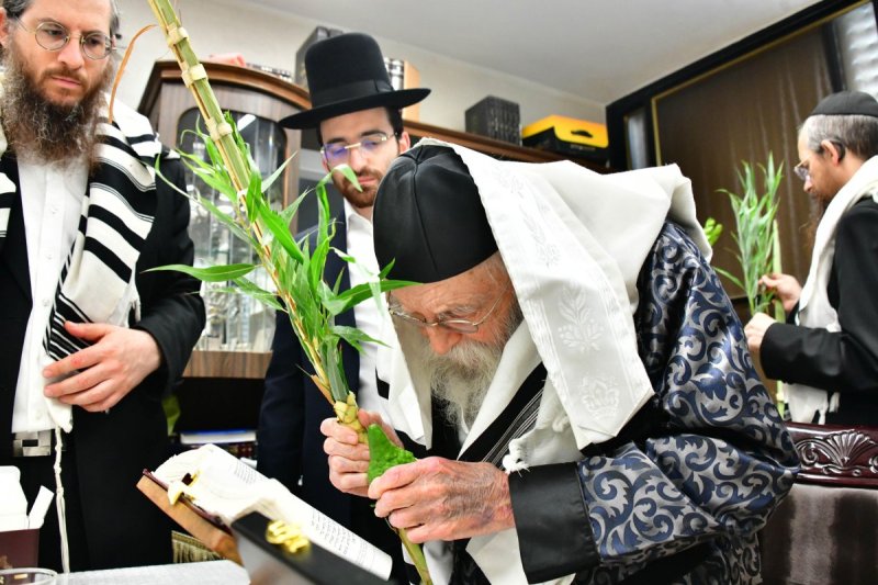 שוקי לרר