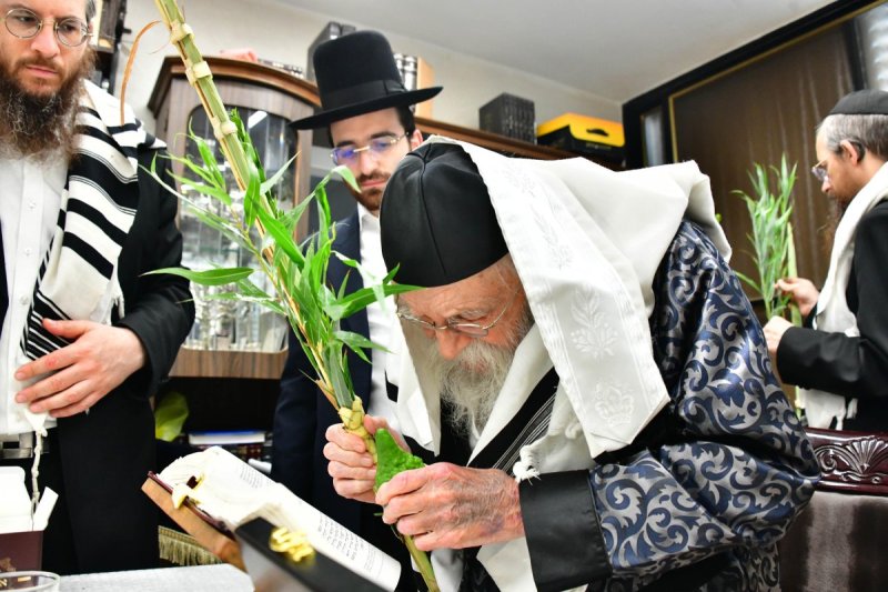 שוקי לרר