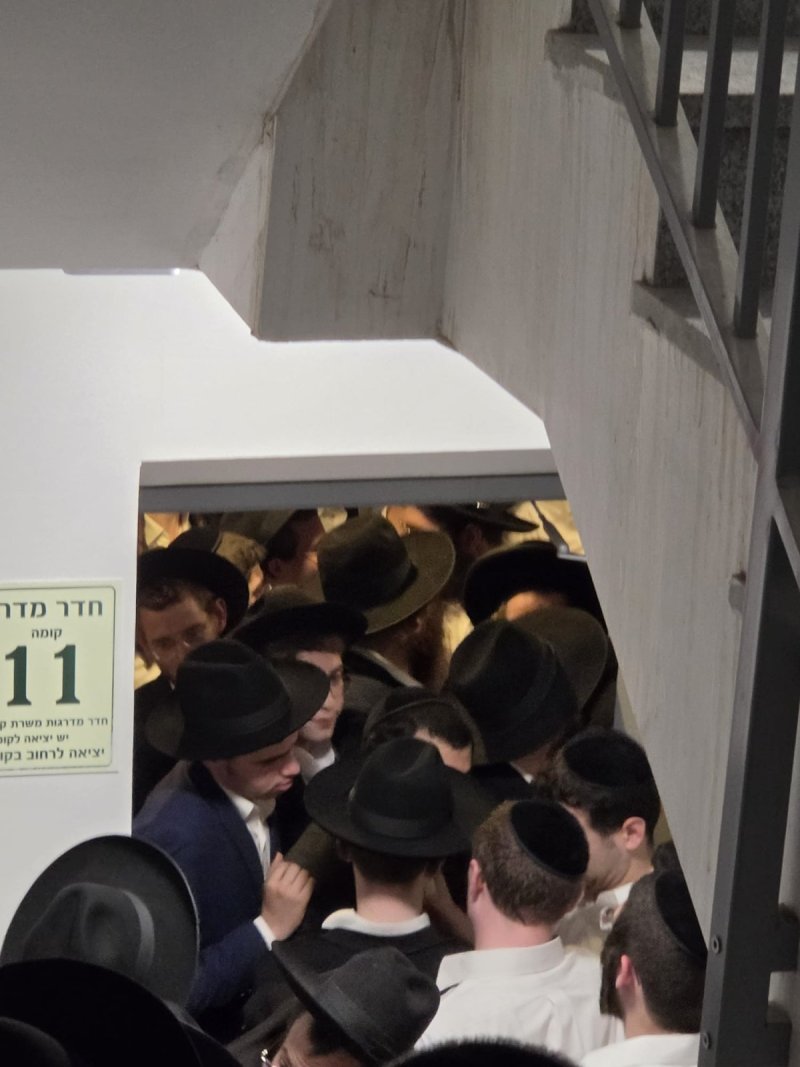 ידיעות מודיעין עילית