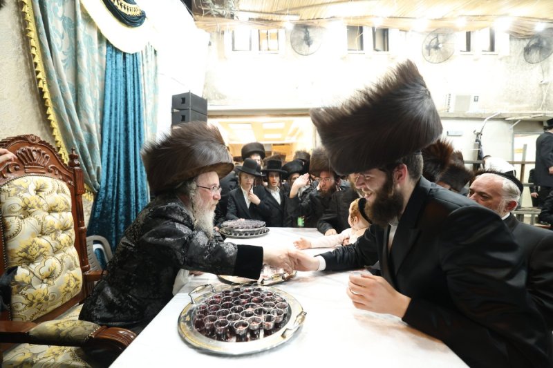 דוד ארזני