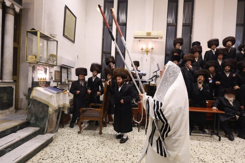נתי אמרגי