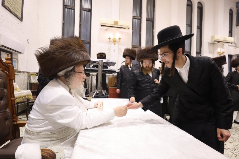 נתי אמרגי