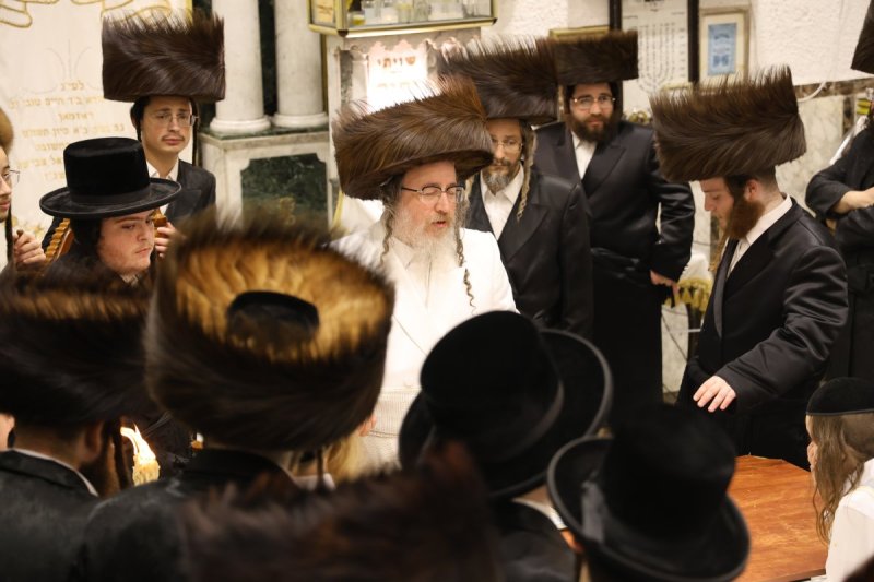 נתי אמרגי
