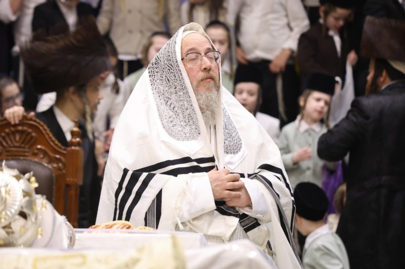 נתי אמרגי
