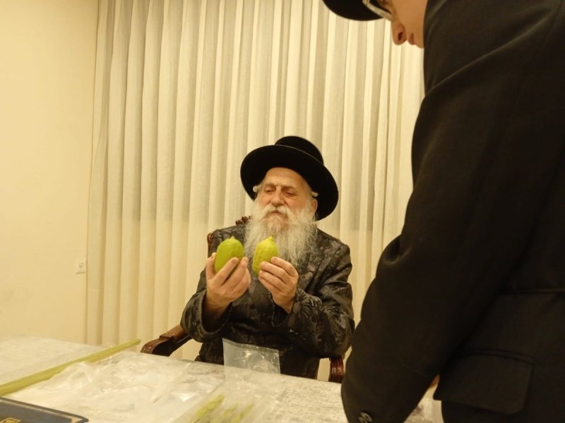 איתי קצב