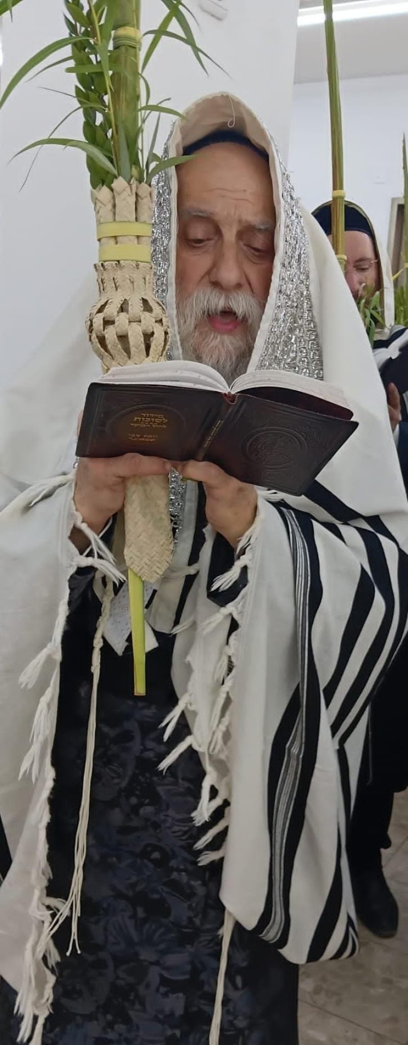 איתי קצב