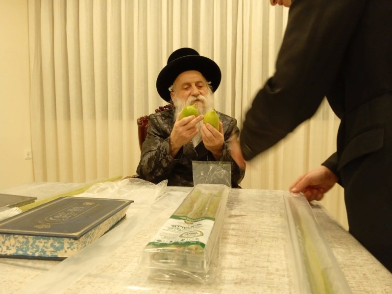איתי קצב