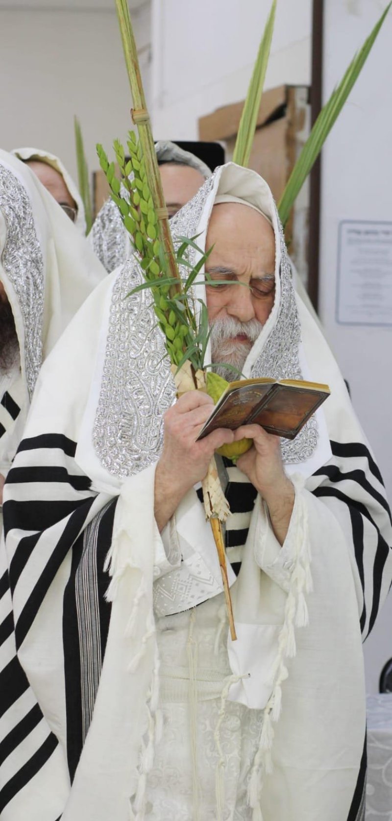 איתי קצב