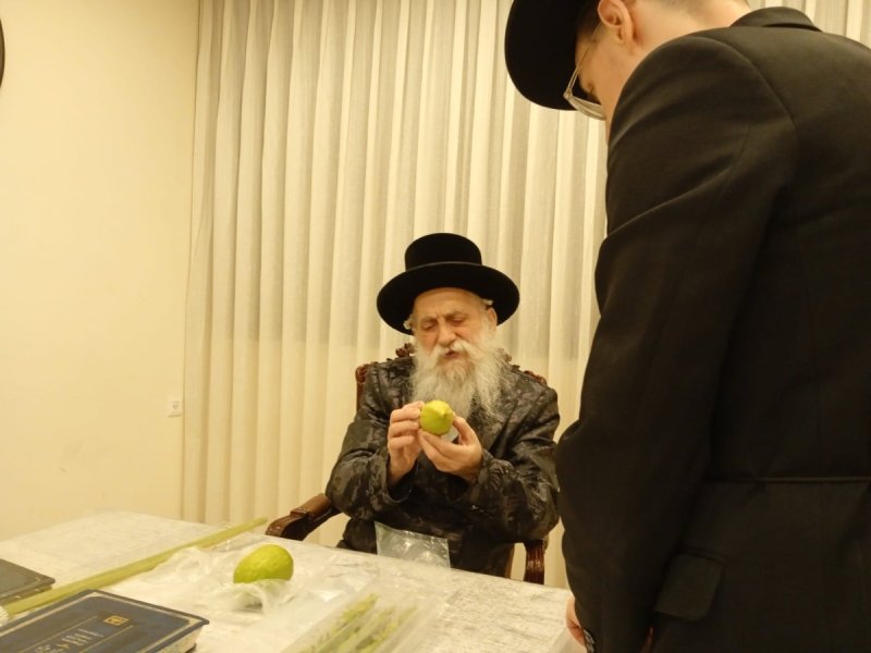 איתי קצב