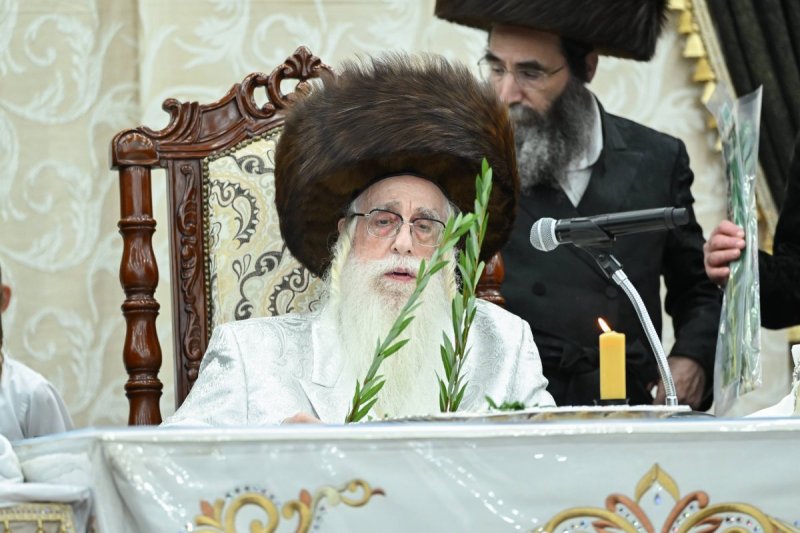 משה גולדשטיין