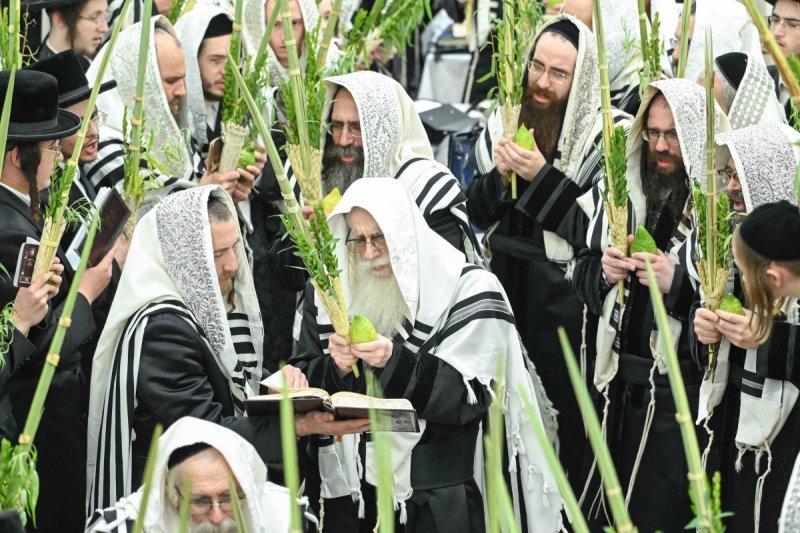 משה גולדשטיין