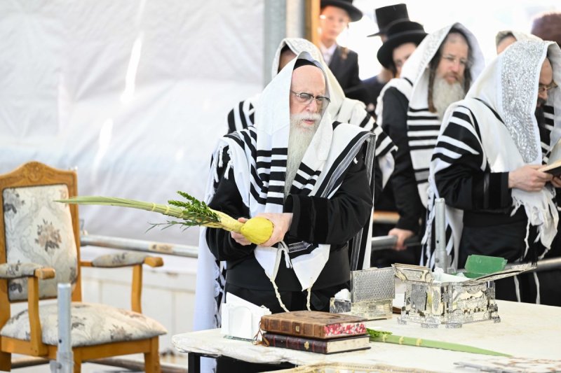משה גולדשטיין