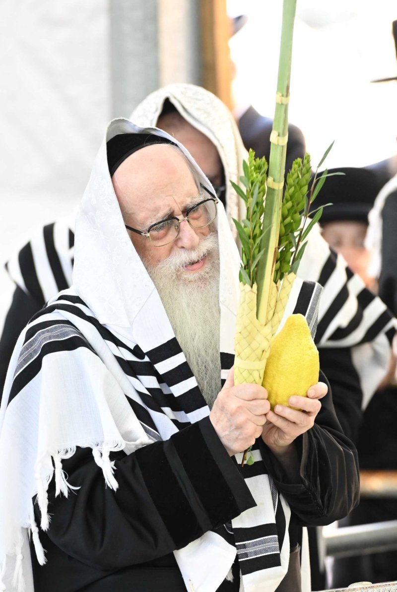 משה גולדשטיין