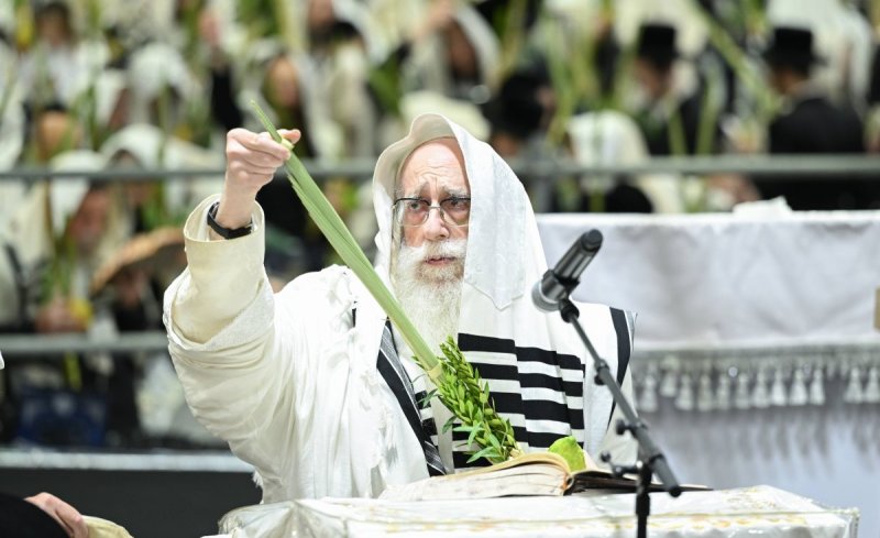 משה גולדשטיין