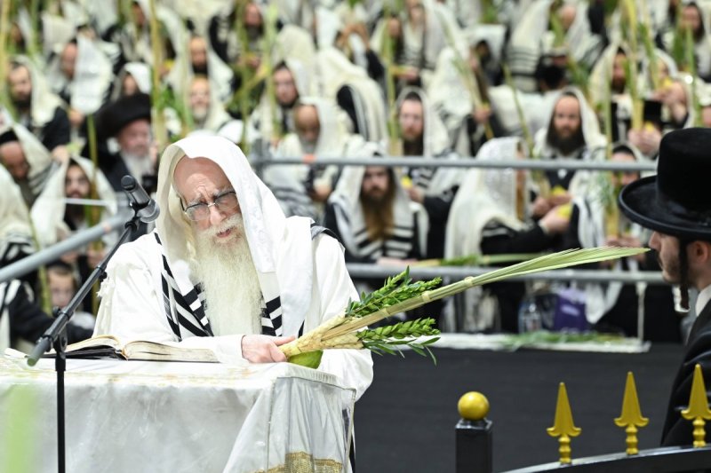 משה גולדשטיין