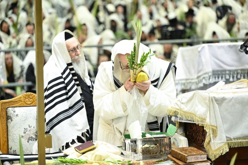 משה גולדשטיין