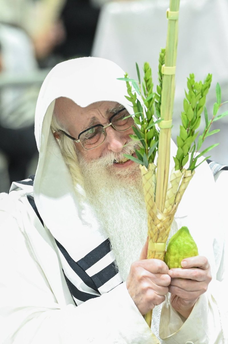 משה גולדשטיין