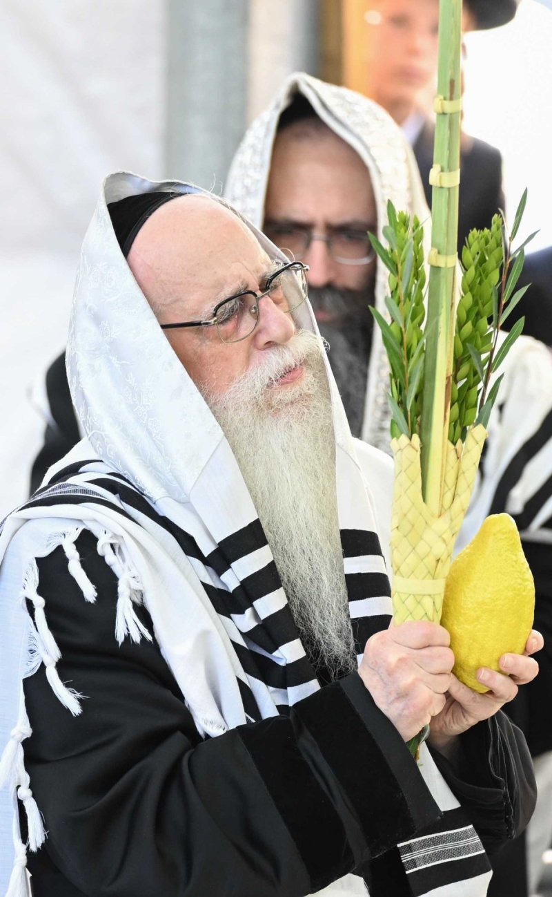 משה גולדשטיין