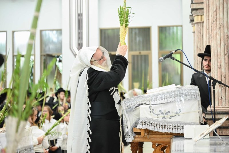 משה גולדשטיין