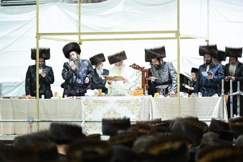 משה גולדשטיין